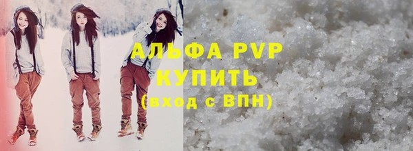 прущие грибы Ельня