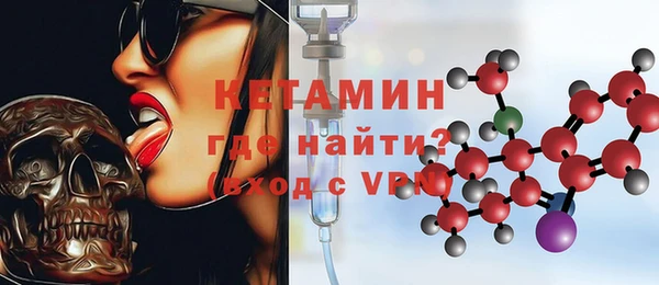 прущие грибы Ельня