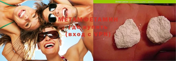 прущие грибы Ельня