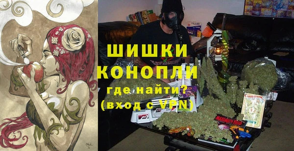 прущие грибы Ельня