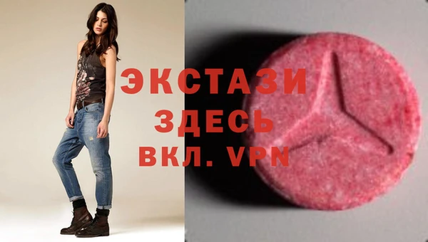 прущие грибы Ельня