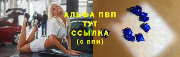 прущие грибы Ельня