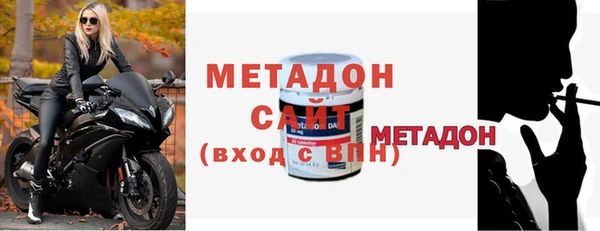 прущие грибы Ельня