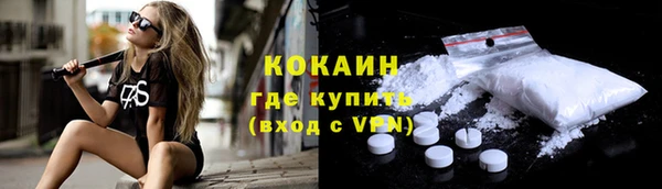 прущие грибы Ельня