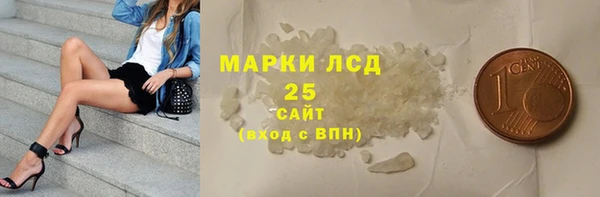 прущие грибы Ельня