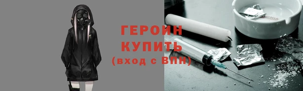 прущие грибы Ельня