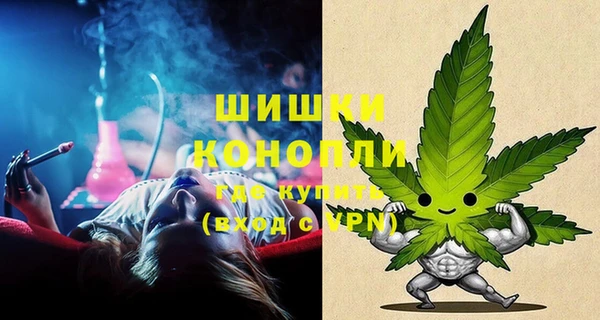 ПСИЛОЦИБИНОВЫЕ ГРИБЫ Елабуга