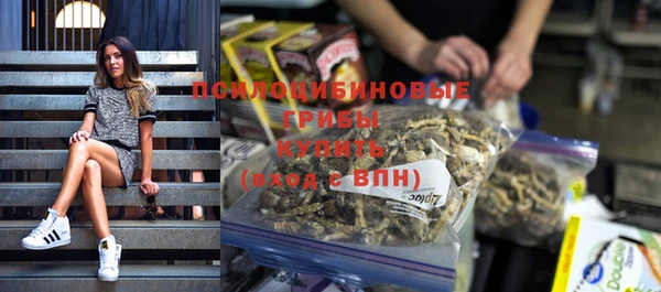 прущие грибы Ельня