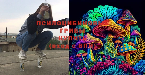 ПСИЛОЦИБИНОВЫЕ ГРИБЫ Елабуга