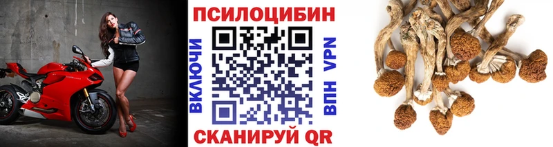 Галлюциногенные грибы прущие грибы  дарнет шоп  Никольск 