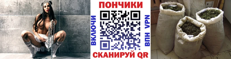 Каннабис индика  купить наркотик  Никольск 